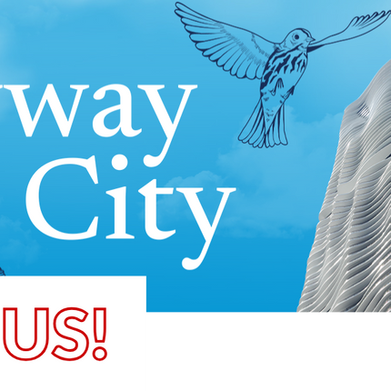 Collection image for: Flyway City