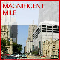Collection image for: Magnificent Mile