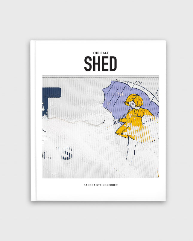 The Salt Shed Transformation of a Chicago Landmark