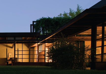 Schindler, Kings Road, and Southern California Modernism