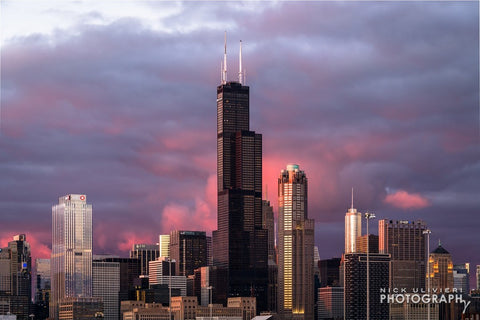 Cotton Candy Canopy 11x14 Print