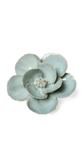 Milk Teal Poppy Ceramic Flower