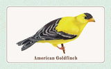 The Beginner Birder's Deck