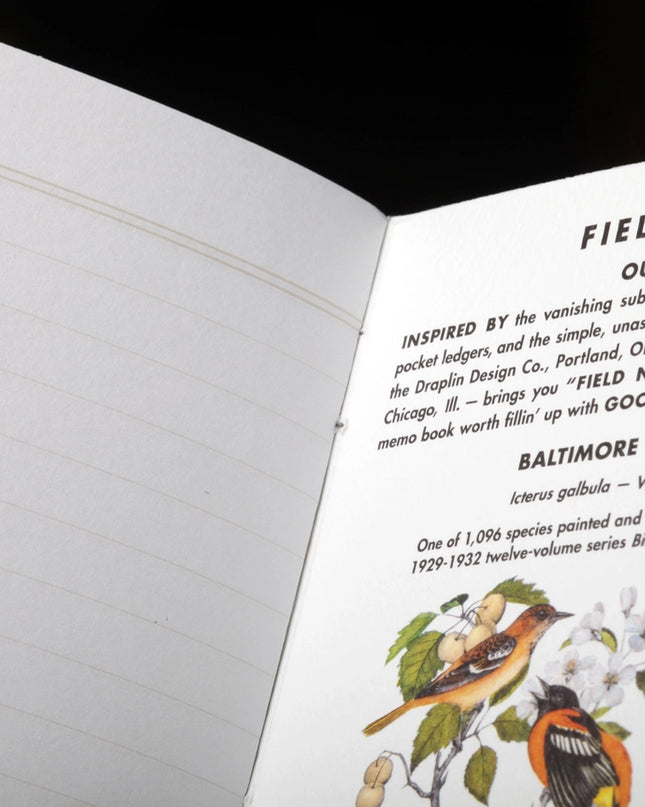 Birds of North America Note Book 3-Pack