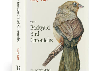 The Backyard Bird Chronicles: 50 Postcards