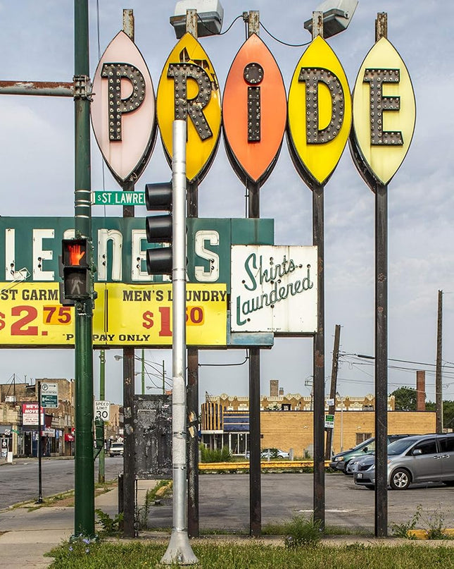 Southern Exposure: The Overlooked Architecture of Chicago's South Side