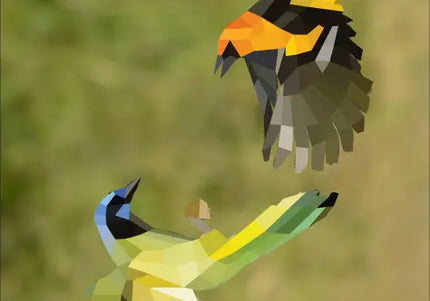 Paint By Sticker: Birds