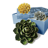 Ceramic Flower Day Gift Box Set