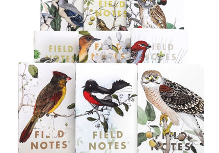 Birds of North America Note Book 3-Pack