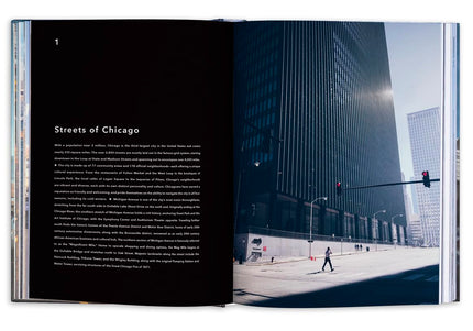 Trope Chicago: The Loop and Beyond