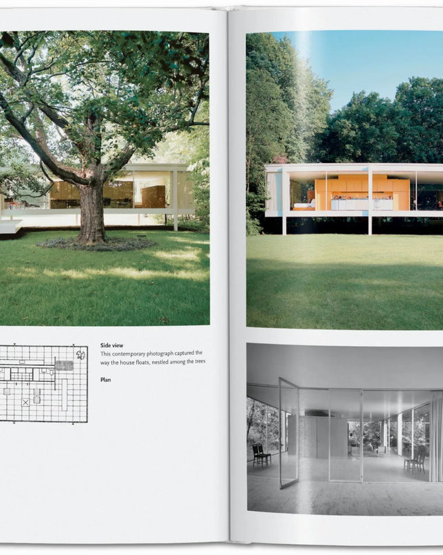 Mies van der Rohe Taschen Basic Art