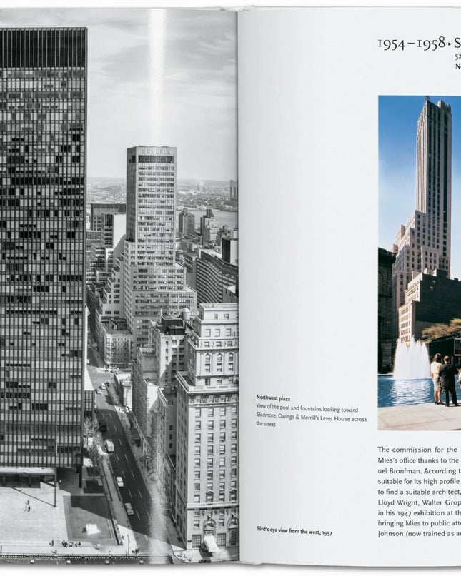 Mies van der Rohe Taschen Basic Art
