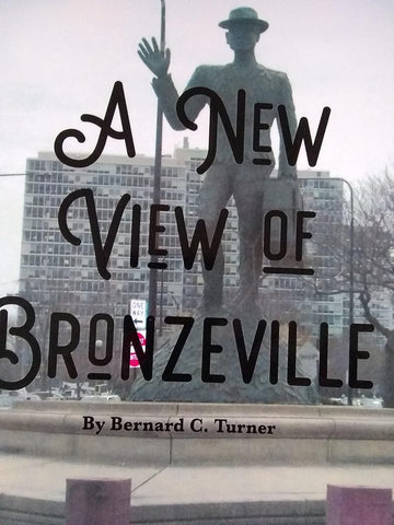 A New View of Bronzeville